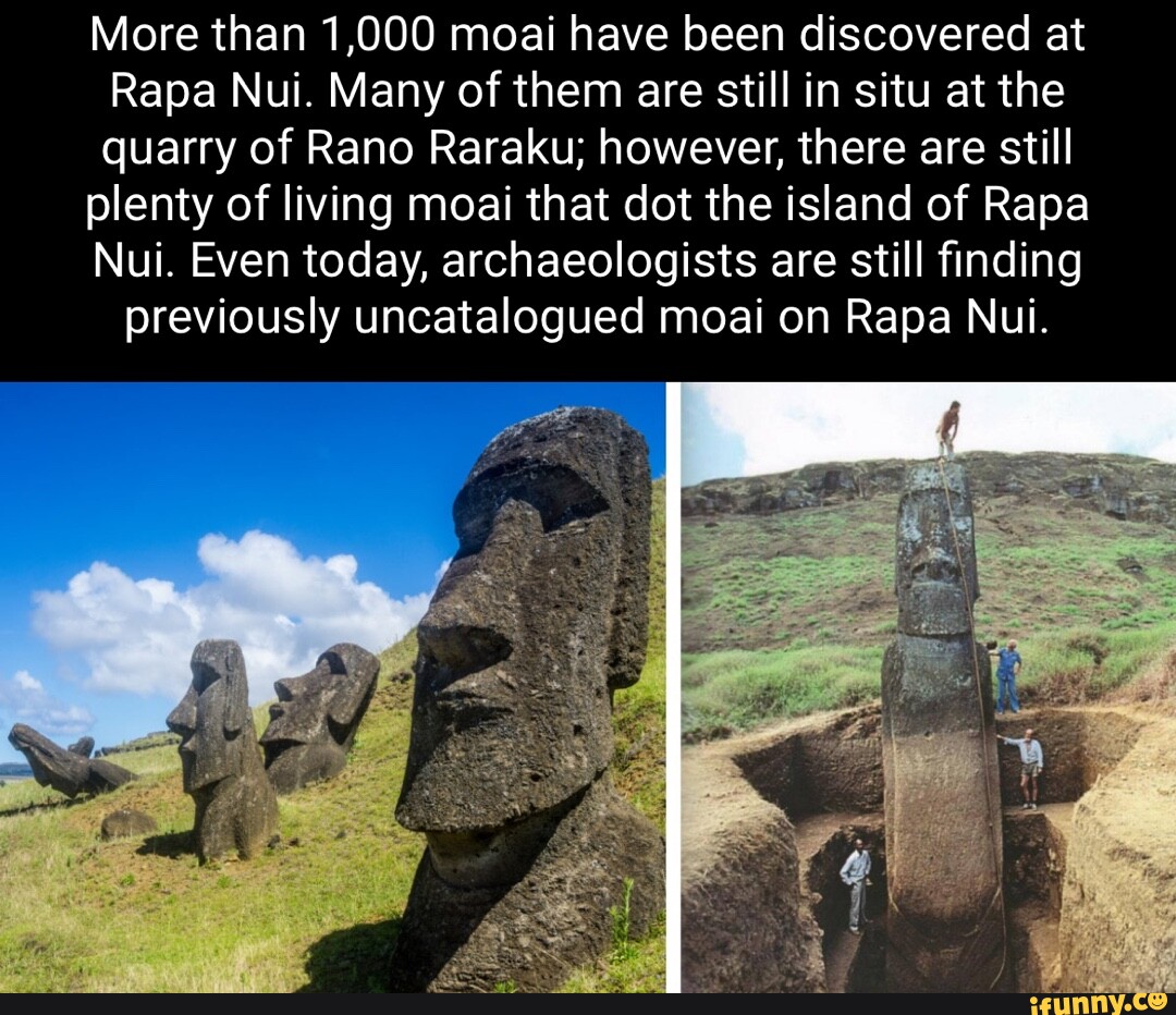 Easter Island heads? : r/memes