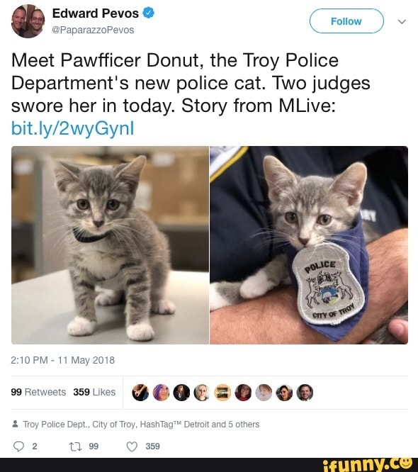 Troy Police Department welcomes new police cat Pawficcer Donut