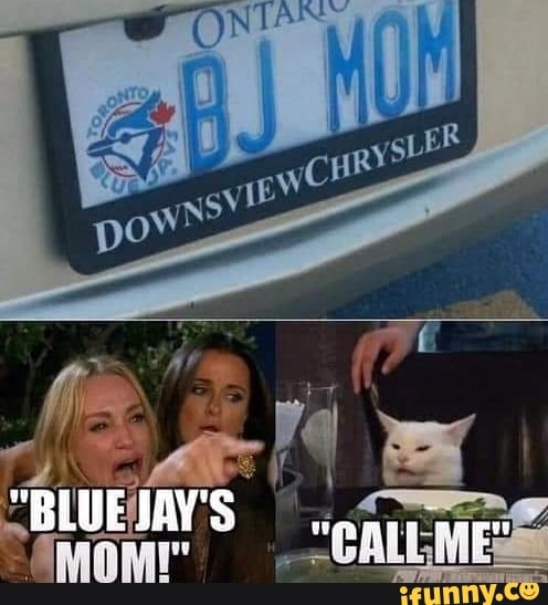 Bluejays memes. Best Collection of funny Bluejays pictures on