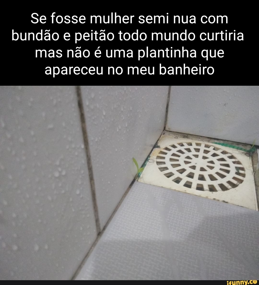 Se fosse mulher semi nua com bundão e peitão todo mundo curtiria mas não é  uma plantinha que apareceu no meu banheiro - iFunny Brazil