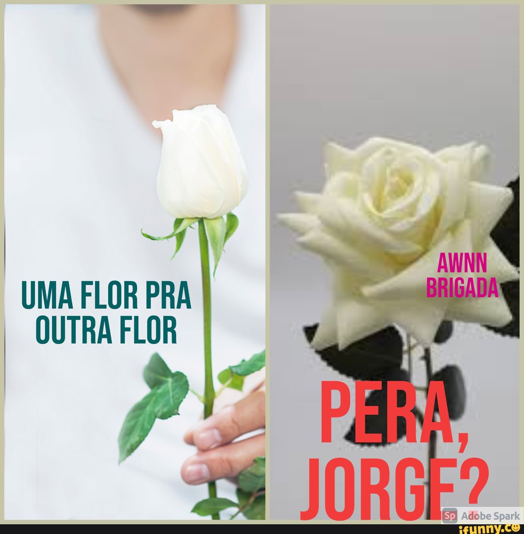 Amor flor que desabrocha sem a ajuda das estações. - iFunny Brazil