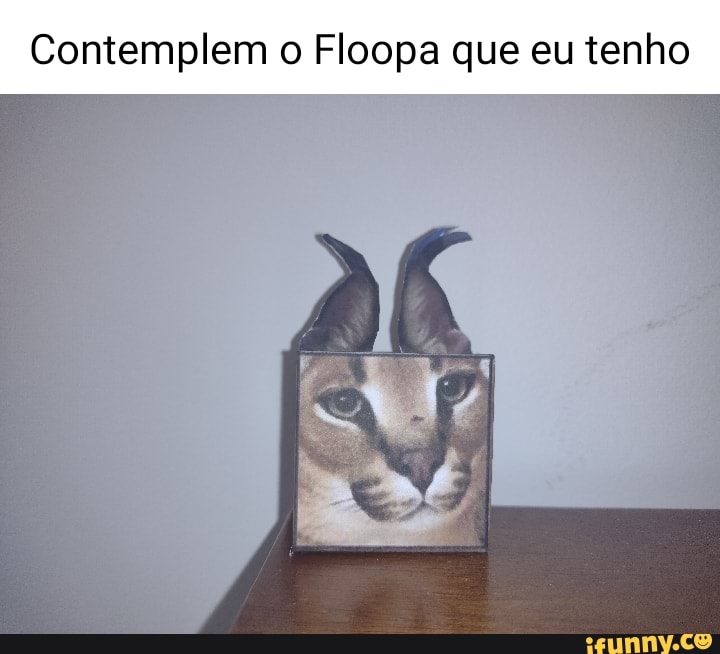 Floopa memes. Best Collection of funny Floopa pictures on iFunny