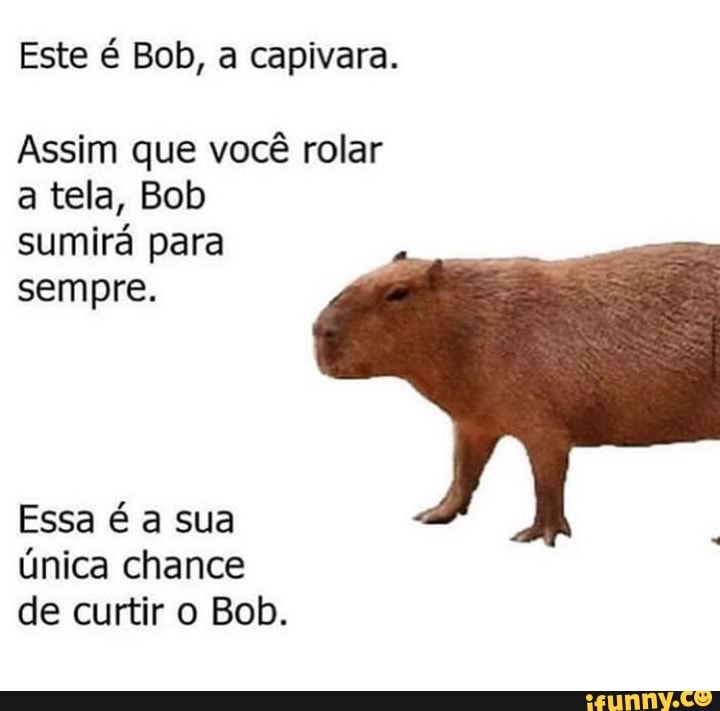 Capivara meme roblox em 2023  Fotos de capivara, Capivara, Capivaras