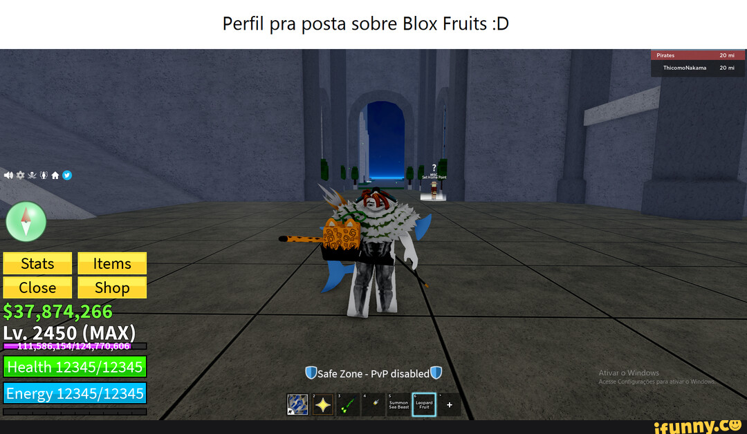 foto de perfil de blox fruit