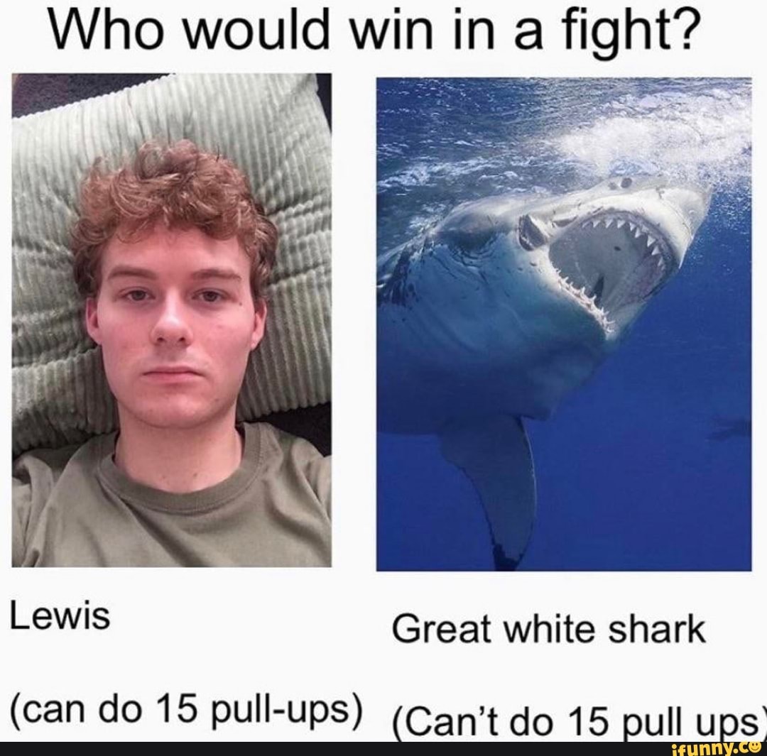 Who would win in a fight?