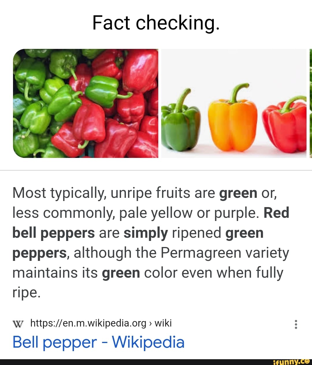 Bell pepper - Wikipedia