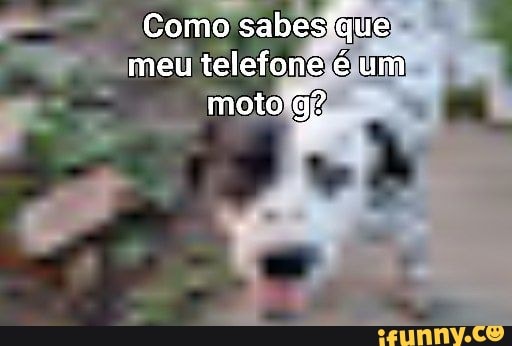 Motomoto memes. Best Collection of funny Motomoto pictures on iFunny Brazil