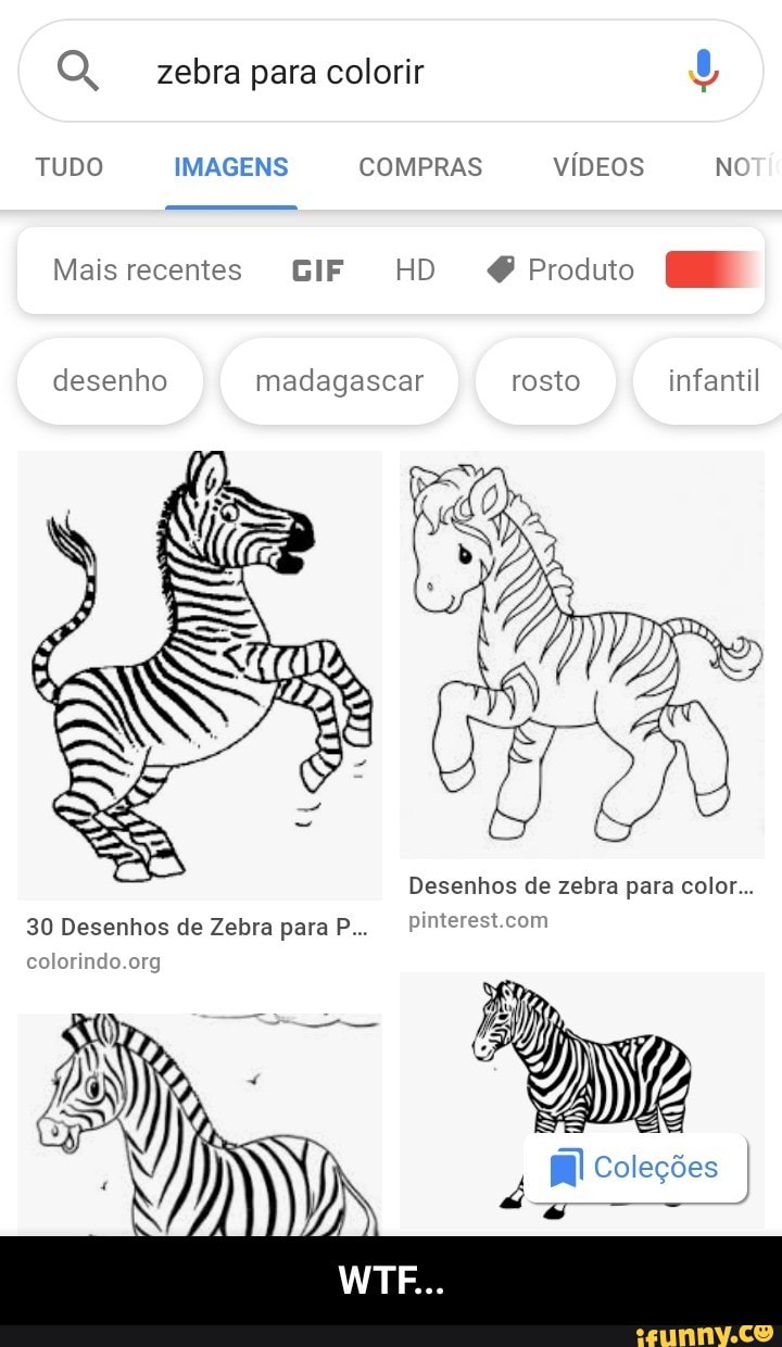 desenho de rosto de zebra