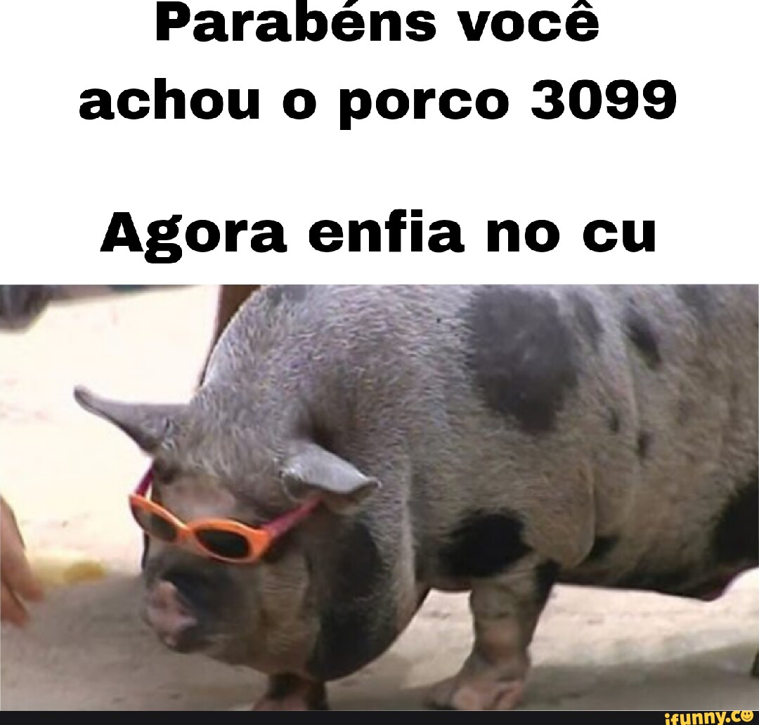 Parabéns Você encontrou 0 John Pork porco número 69 - iFunny Brazil