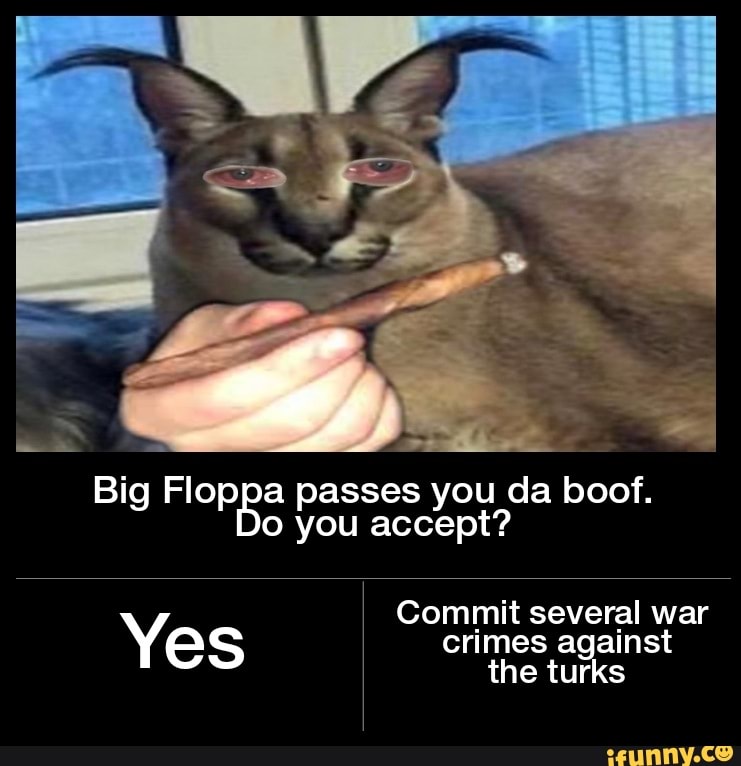 Know Your Meme - Big Floppa: Big Floppa Enters Its Second