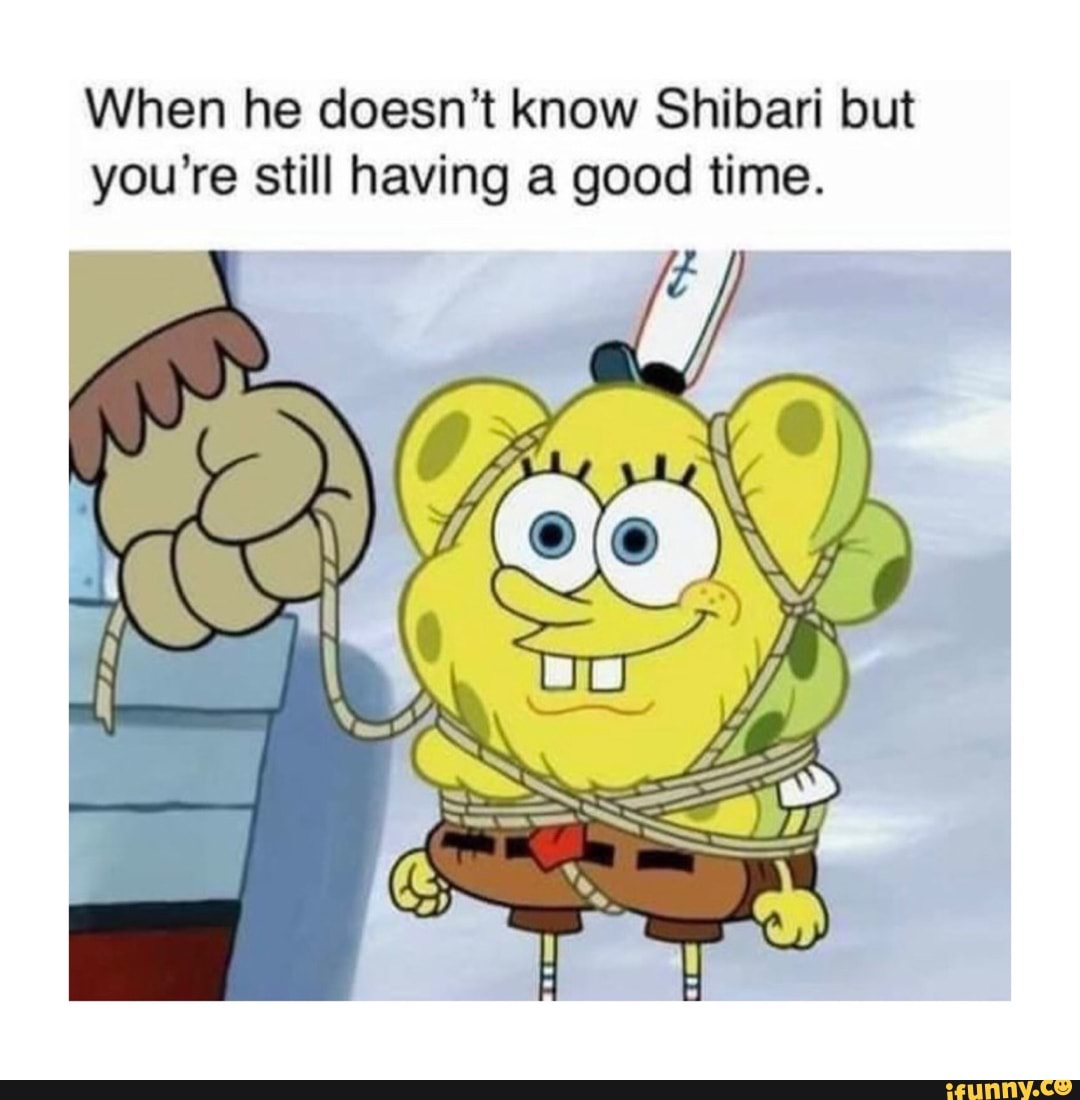 Shibai memes. Best Collection of funny Shibai pictures on iFunny Brazil