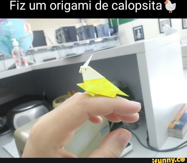 Di Origami Bottle In- - iFunny Brazil