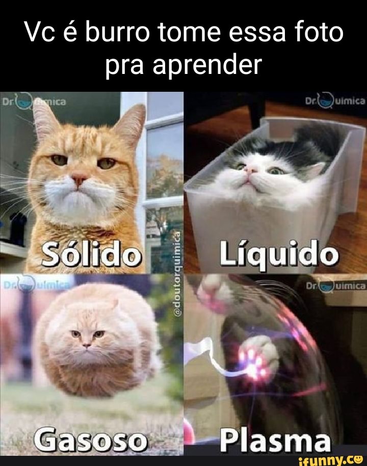 USEM SEUS POKEMONS, SEUS BURROS! VOCÊS ESTÃO BRINCANDO? VOCÊS TEM PELO  MENOS 3 POKEMONS DE ÁGUA - iFunny Brazil