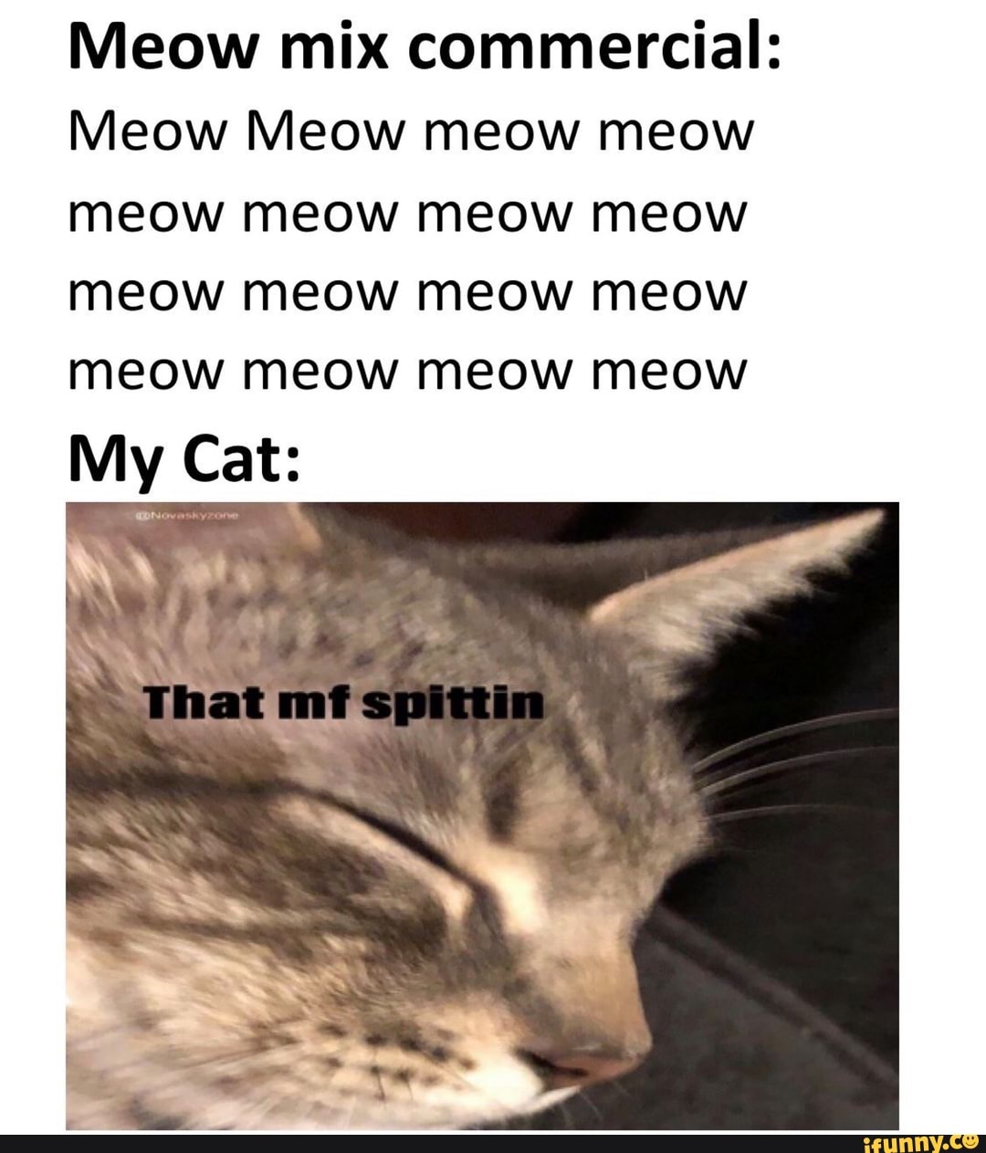 Meow Mix Song