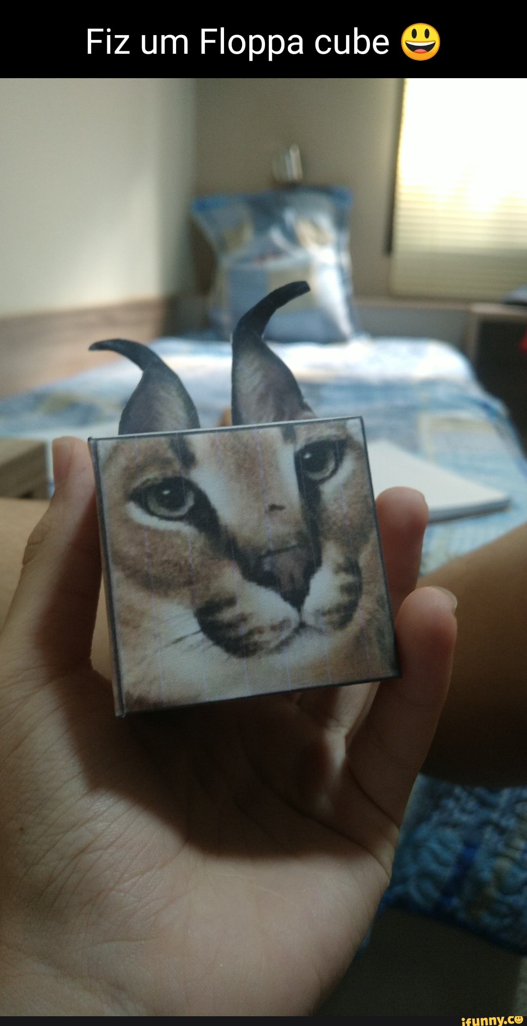 Aqui está o meu Cube floppa, (baseado no meme nos comentários) - iFunny  Brazil