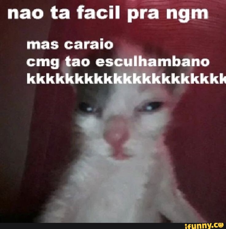 Memes de imagem Cx5L5zQnA por punhetinha_games123 - iFunny Brazil