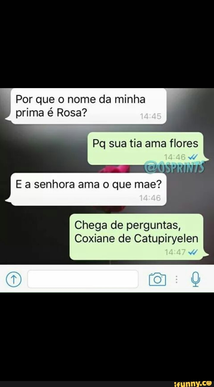 Por que o nome da minha prima é Rosa? E a senhora ama o que mae? Chega de  perguntas, Coxiane de Catupiryelen - iFunny Brazil