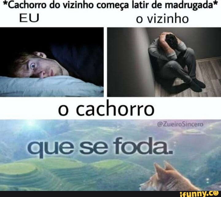 Ve prefere cão ou gata? SIM NÃO I - iFunny Brazil