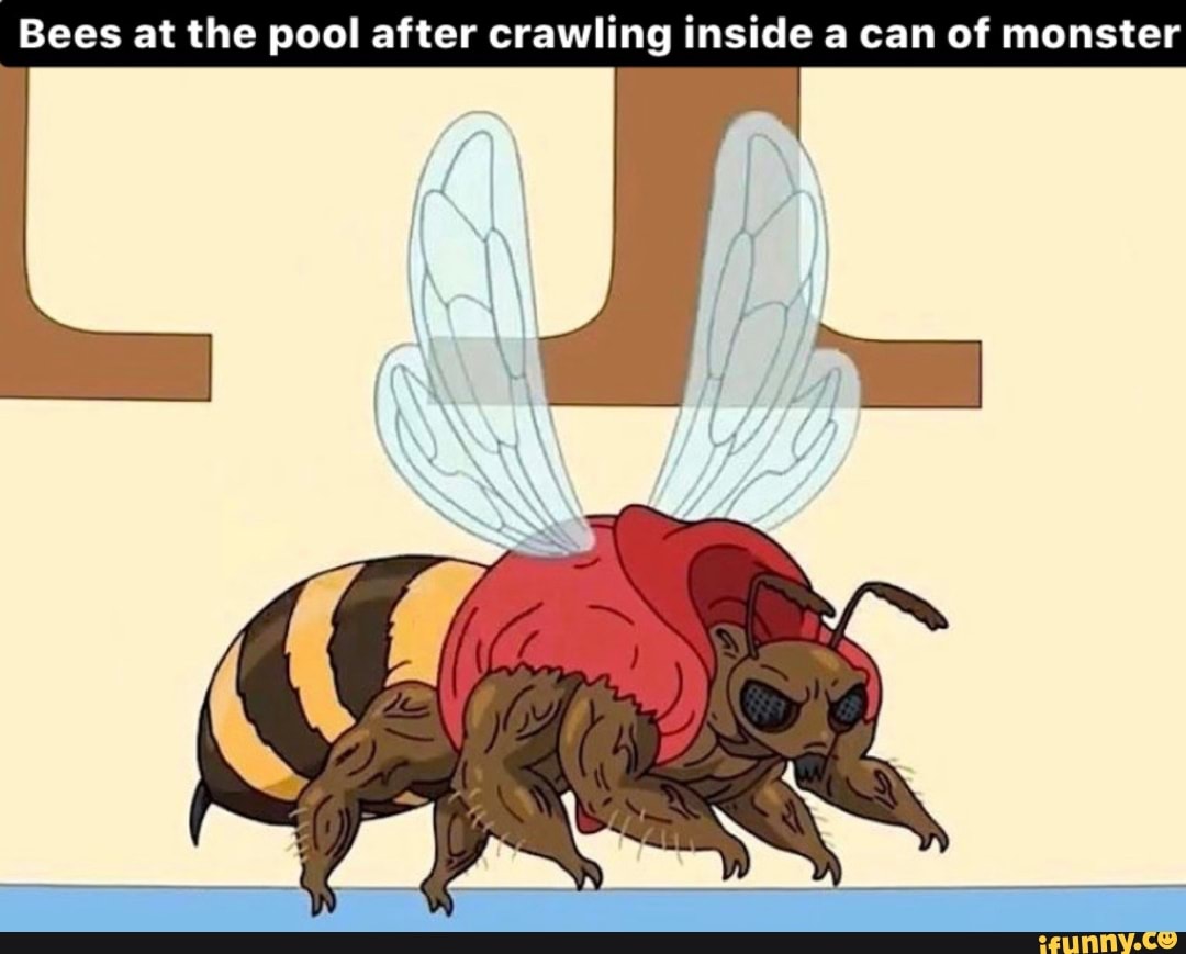 Bees at the pool after crawling inside a can of monster - iFunny Brazil