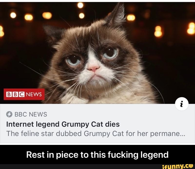 Grumpy Cat internet legend dies