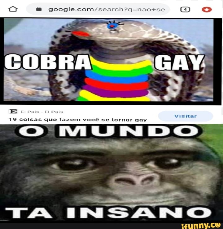 Cobrinha memes. Best Collection of funny Cobrinha pictures on iFunny Brazil