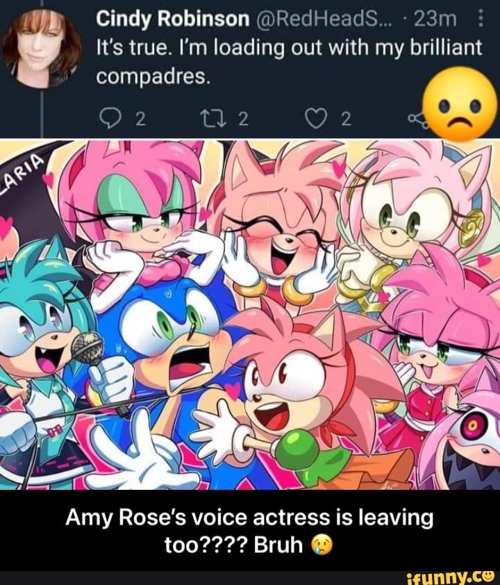Cindy Robinson, the voice of Amy Rose in the Sonic series, has