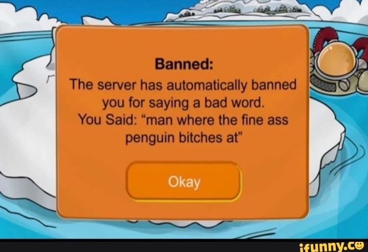 banned-the-server-has-automatically-banned-you-for-saying-a-bad-word