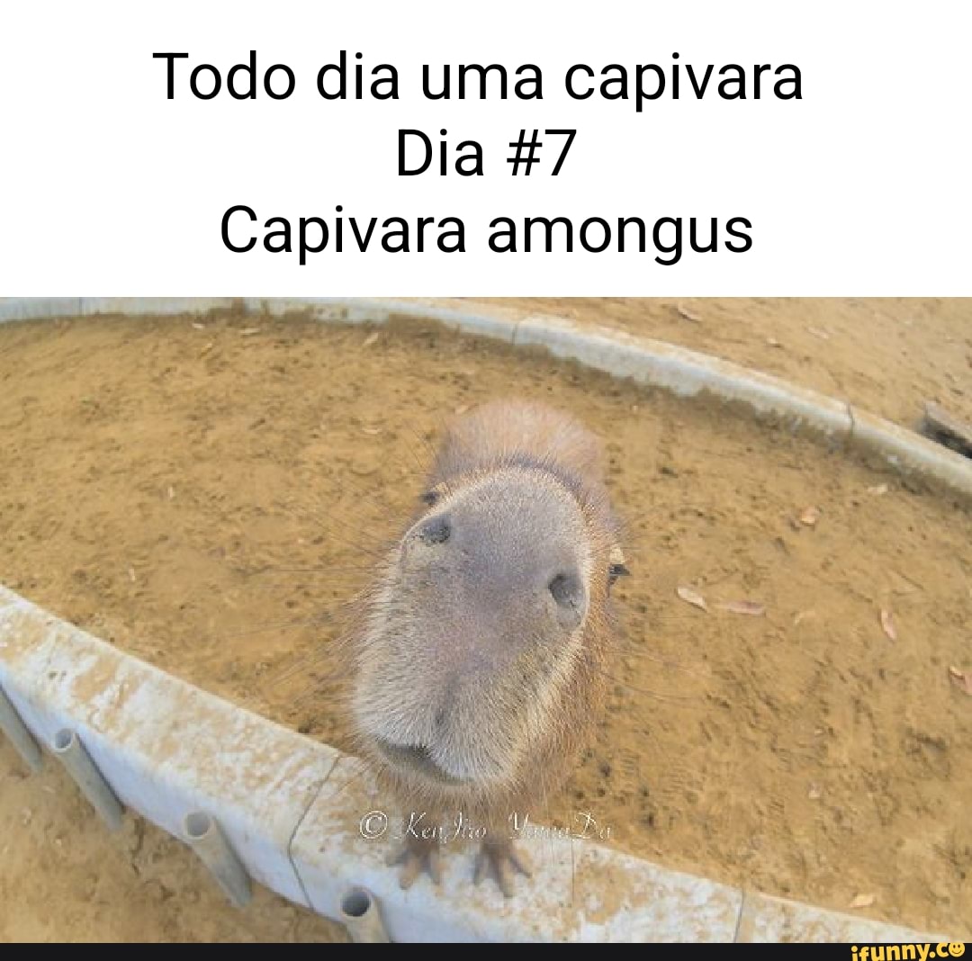 Capivara meme roblox em 2023  Fotos de capivara, Capivara, Capivaras