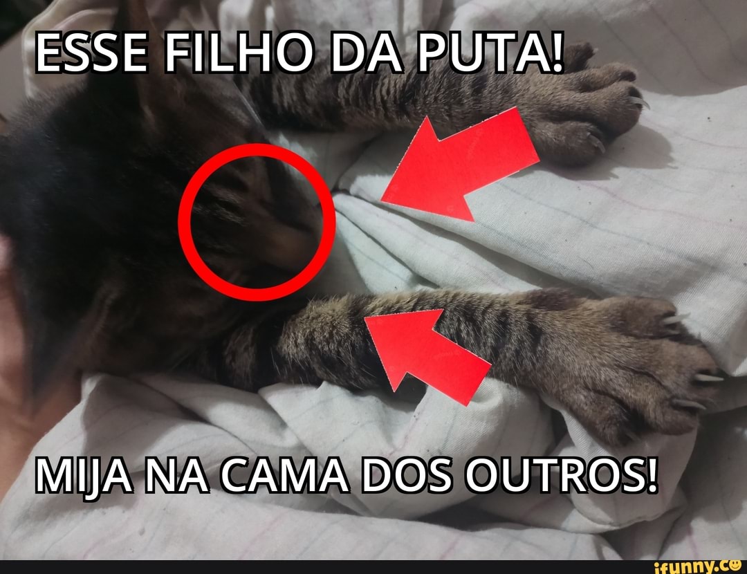 ESSE FILHO DA PUTA! MIJA NA CAMA DOS OUTROS! - iFunny Brazil