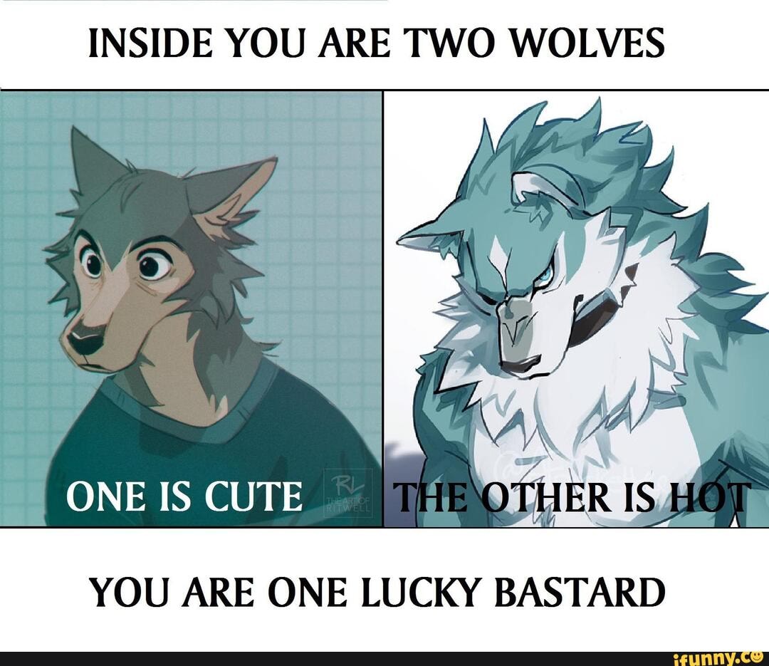 What a naughty boy - INSIDE YOU ARE TWO WOLVES \ fy ONE IS CUTE ...