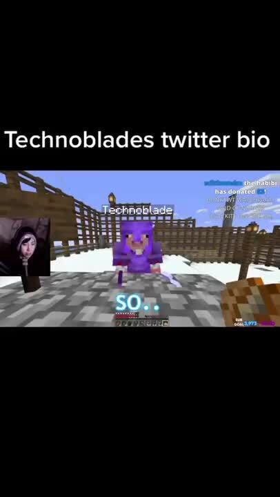 Technoblades memes. Best Collection of funny Technoblades pictures on  iFunny Brazil