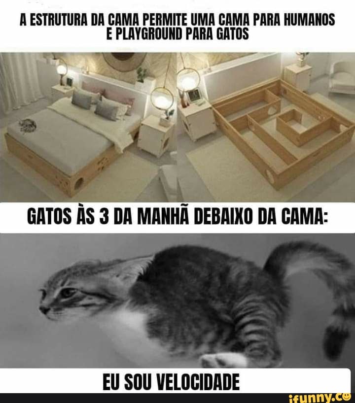 Eu sou apaixonado por jogos com gatos admito, mas um jogo de um gato p