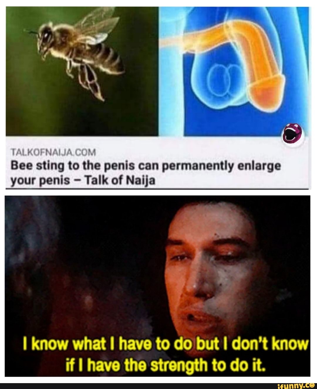 TA KO Bee sting to the penis can permanently enlarge your penis