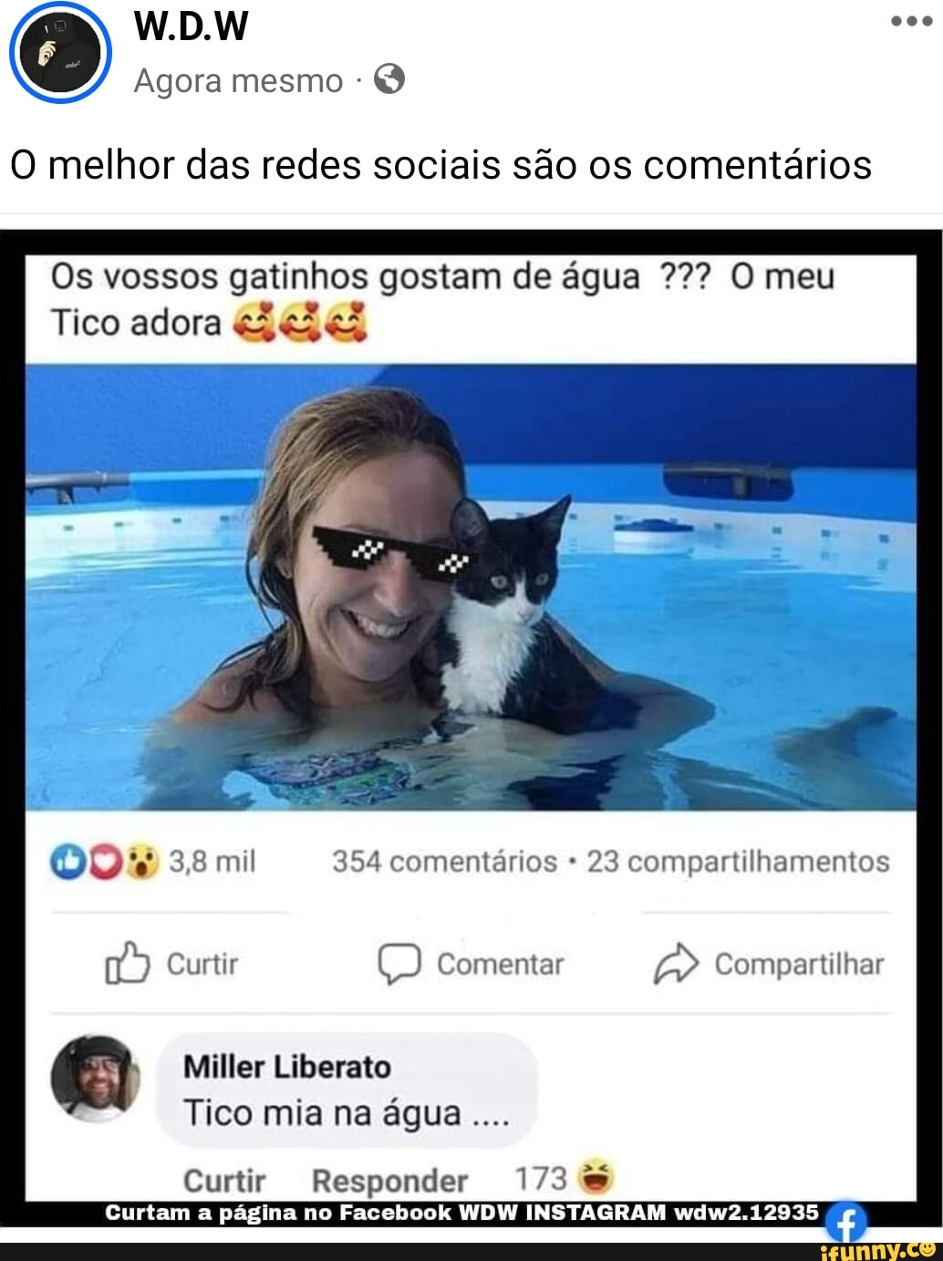 Ccoindase memes. Best Collection of funny Ccoindase pictures on iFunny  Brazil