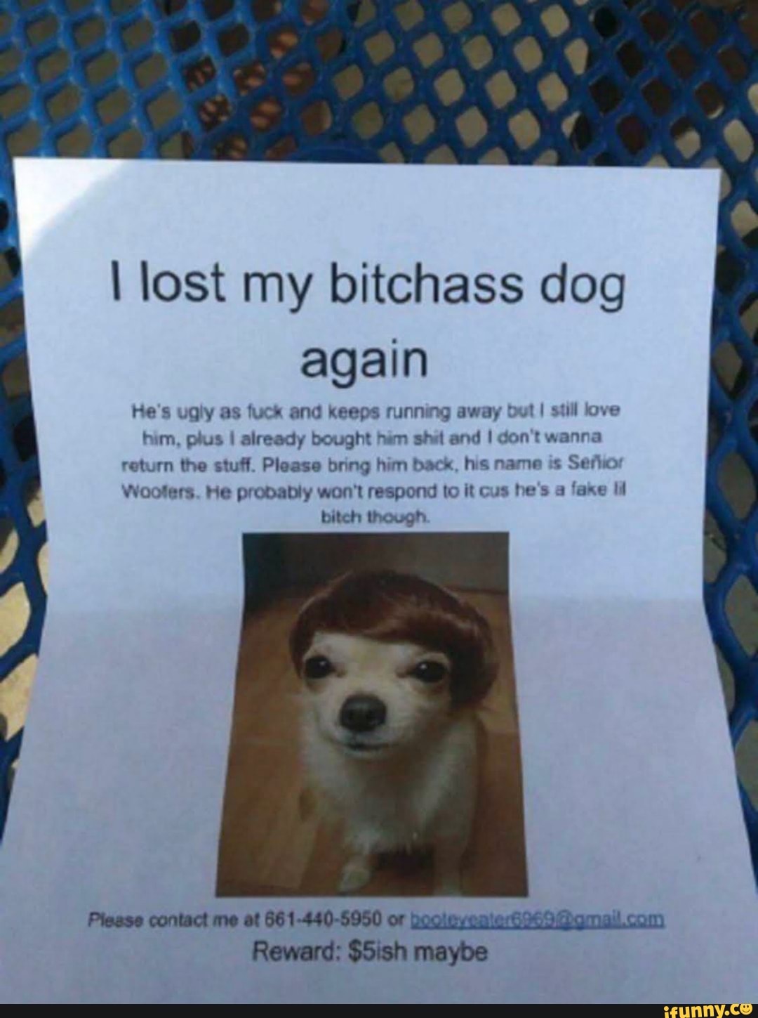 Help rescue Señior Woofers 😣 🙏🏻 I lost my bitchass dog again He's