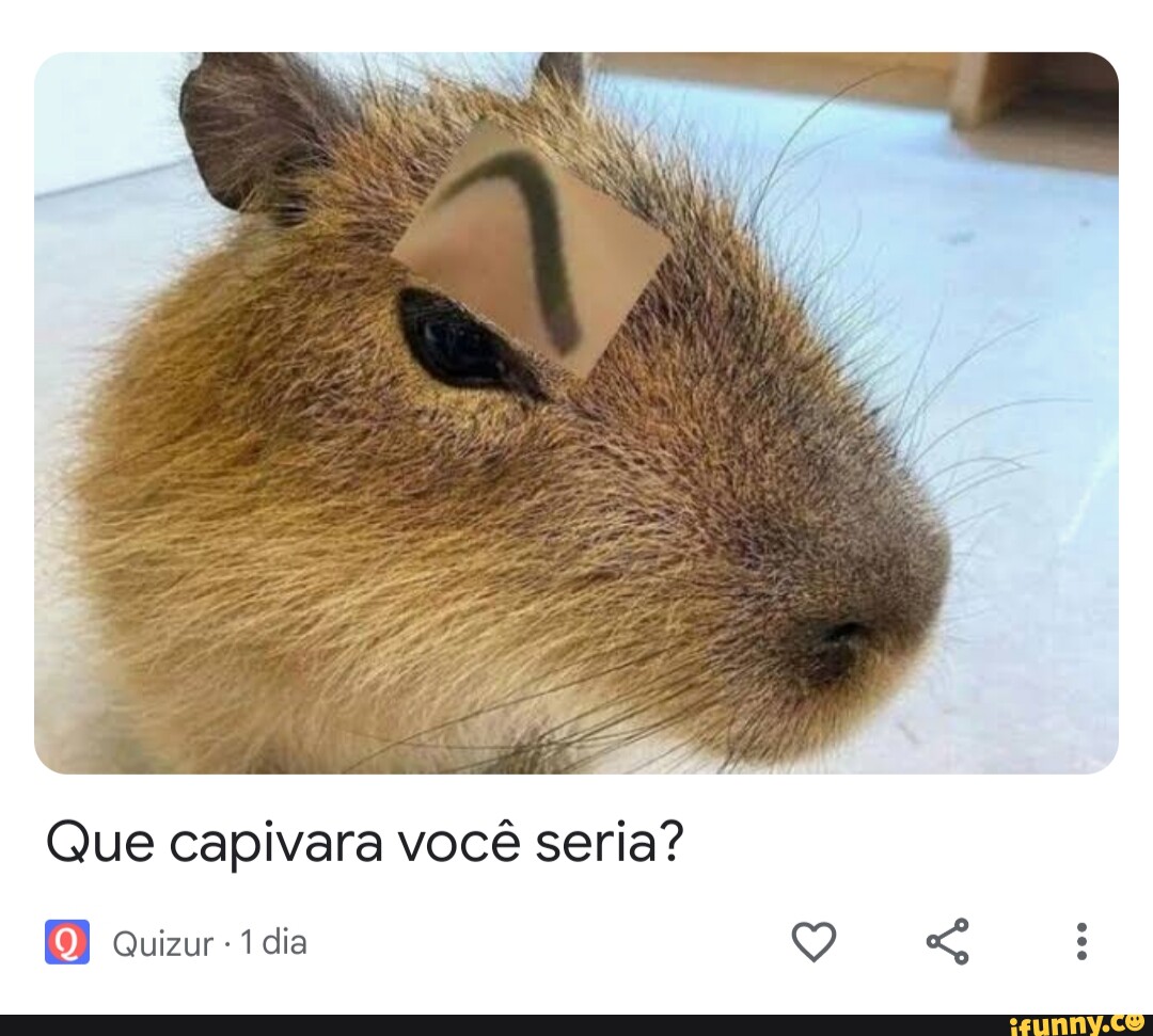 Você é uma capivara?