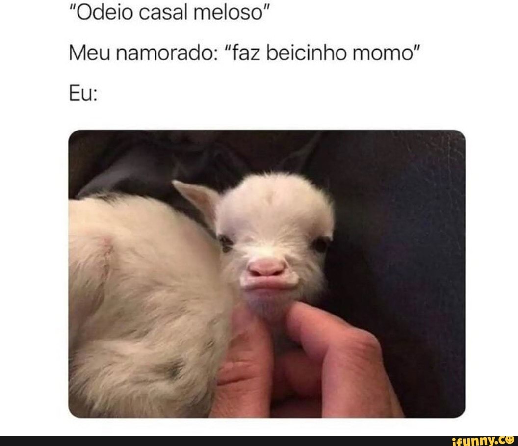 Beicinho memes. Best Collection of funny Beicinho pictures on iFunny Brazil