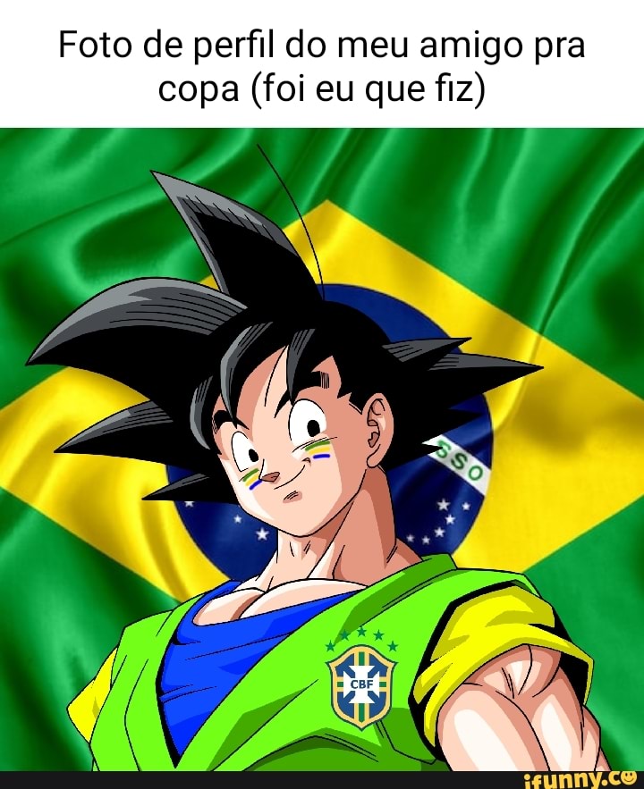 FOTOS DE PERFIL DA COPA