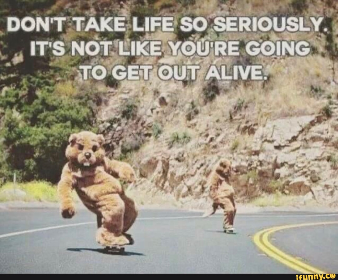 DONT TAKE LIFE SO SERIOUSLY. ITS NOT YOURE GOING OUT ALIVE. ty ...