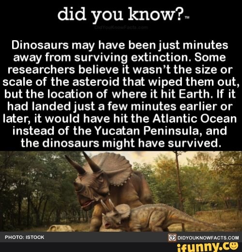 MeUndies - Did you know that dinosaurs were actually more