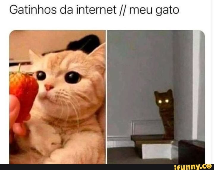 Eu amo ver garotas-gato de animes com suas mãos na frente imitando patas de  gatos. Traduzi WaterBR do po - iFunny Brazil