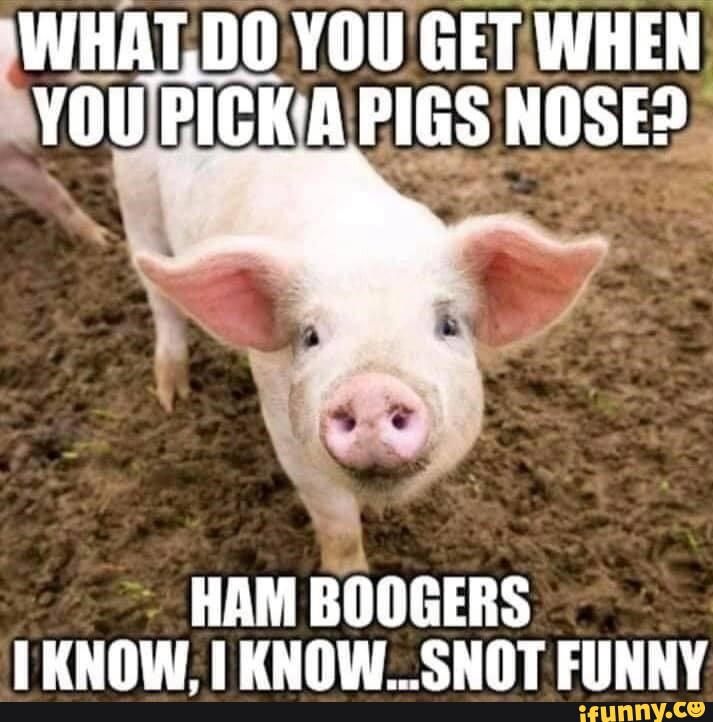 So You've Got a Nose Picker