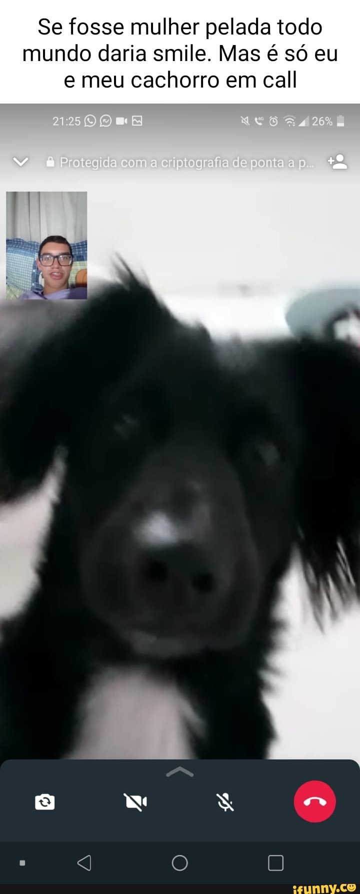 Se fosse mulher pelada todo mundo daria smile. Mas é só eu meu cachorro em  call Igaade Ng - iFunny Brazil