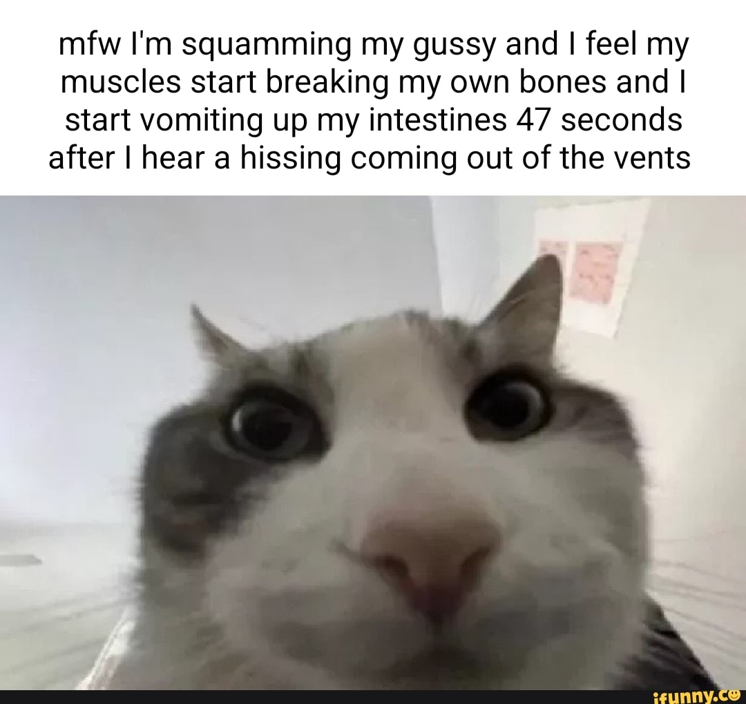 Hissy memes. Best Collection of funny Hissy pictures on iFunny Brazil