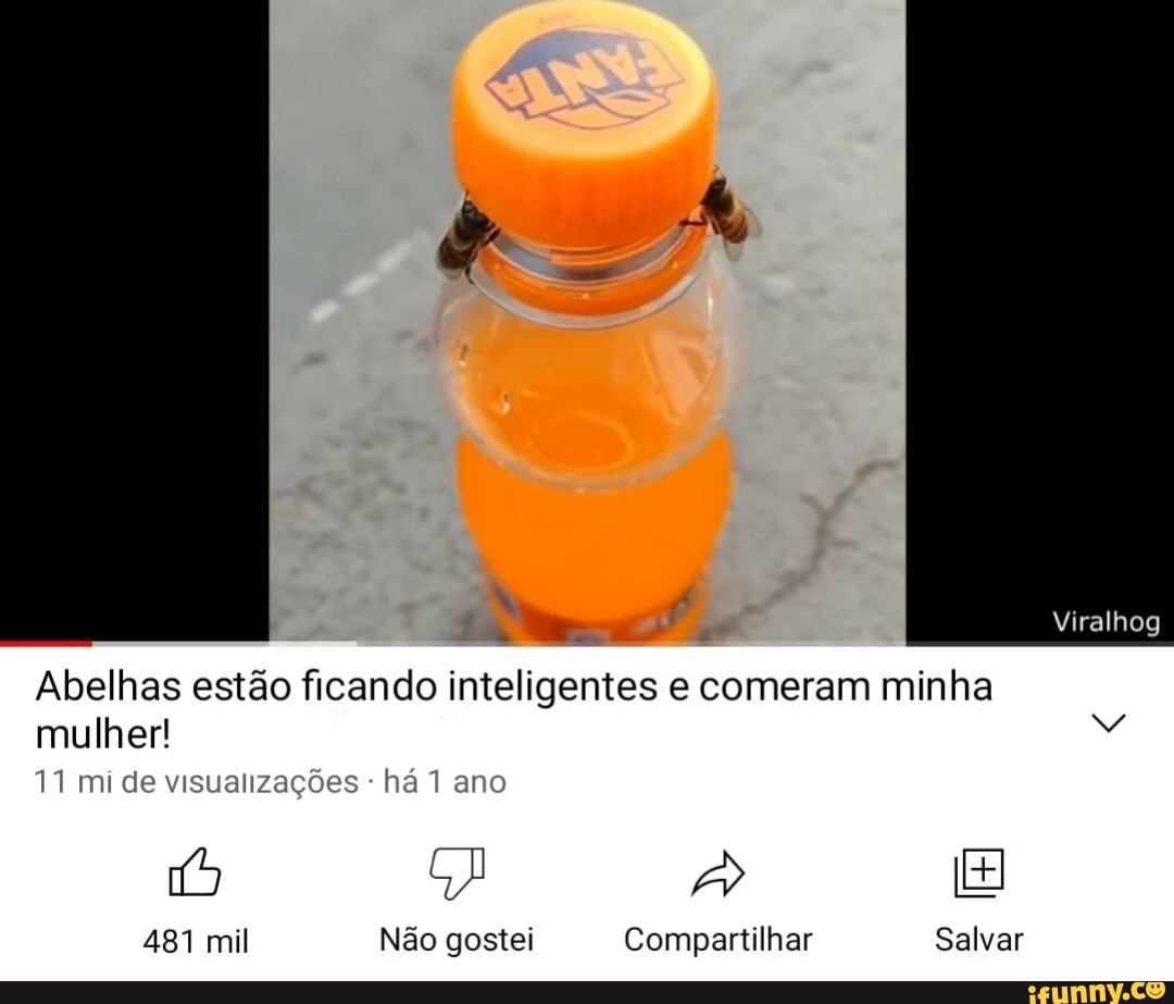 Abelhas estão ficando inteligentes e comeram minha mulher! 11 mi de  visualiza( 481 mil Não gostei Compartilhar Salvar s- há 1 ano Viralhog -  iFunny Brazil