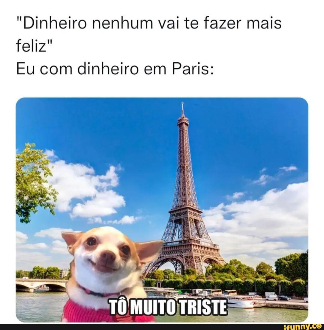 Meu Pou depois de eu ter baixado o mod de dinheiro infinito: HE ST - iFunny  Brazil