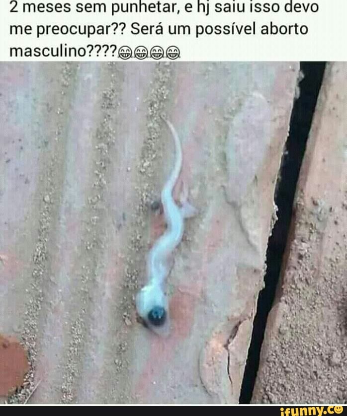 Punhetados memes. Best Collection of funny Punhetados pictures on iFunny  Brazil