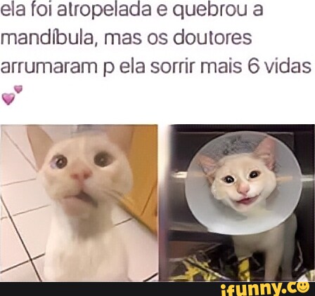 MULHERES BONITAS NAOGOSTAM DECALVOS CLIQUE AQUI E DÊ UM FIM A CALVÍÇIE -  iFunny Brazil