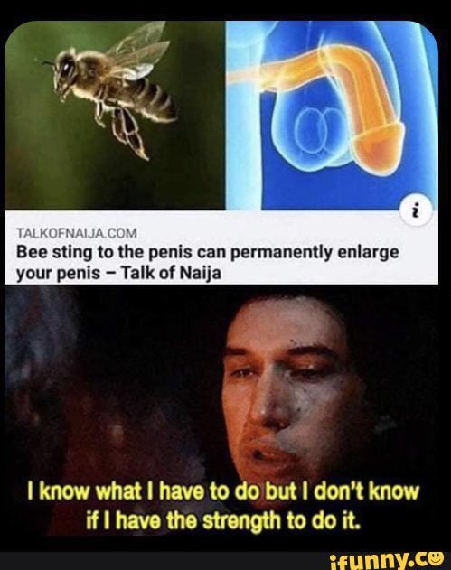 Bee sting to the penis can permanently enlarge your penis Talk of