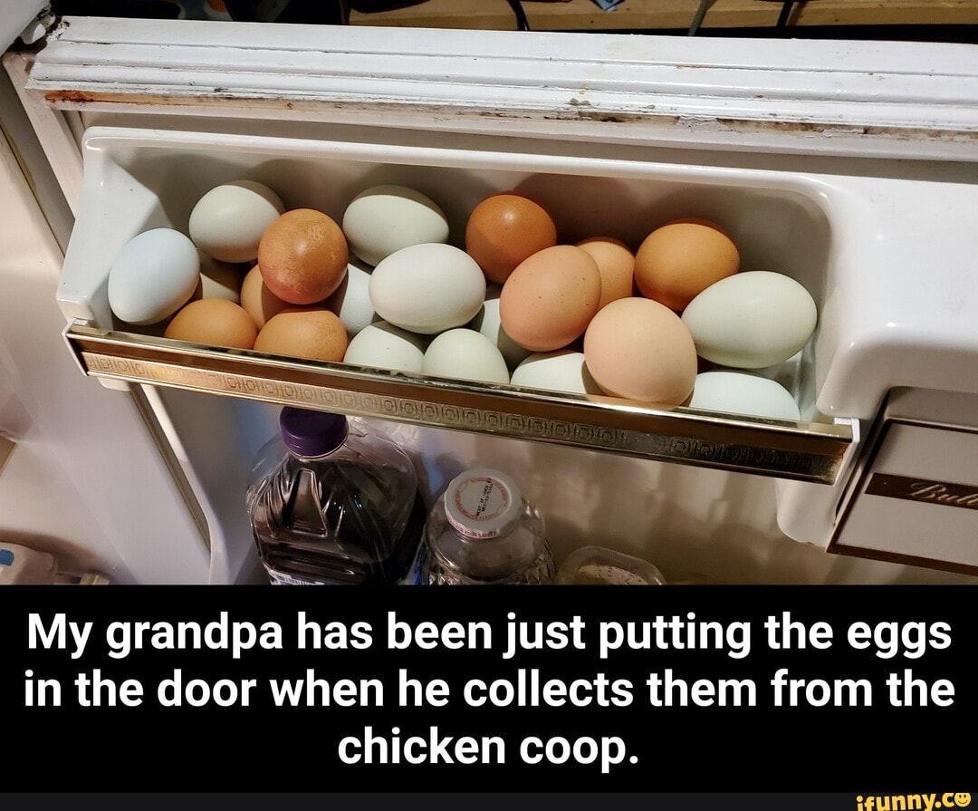 AS rias My grandpa has been just putting the eggs in the door when he ...